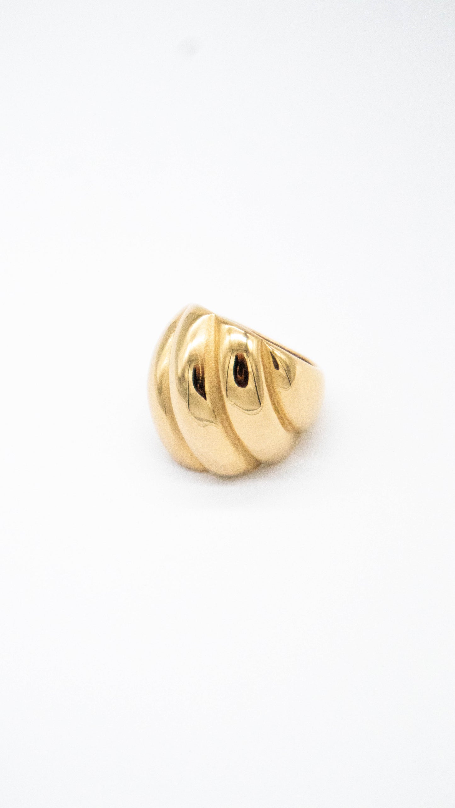 Anillo cocha