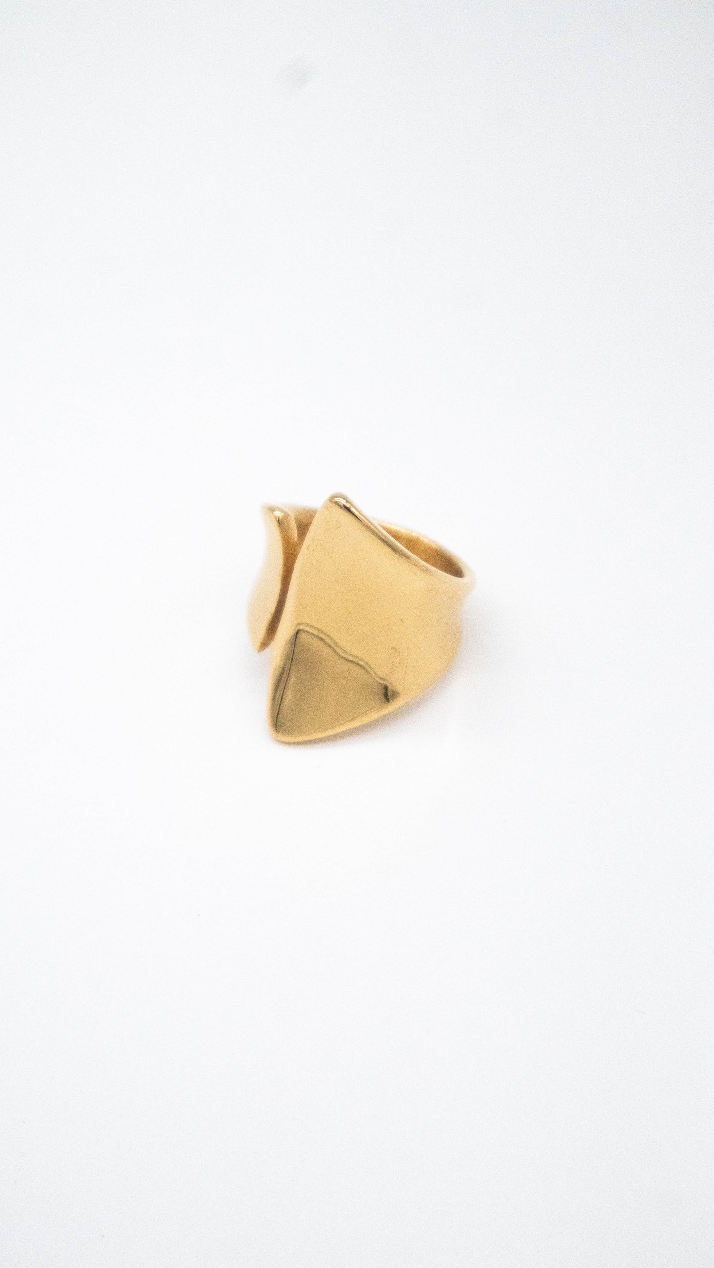 Anillo encuentro