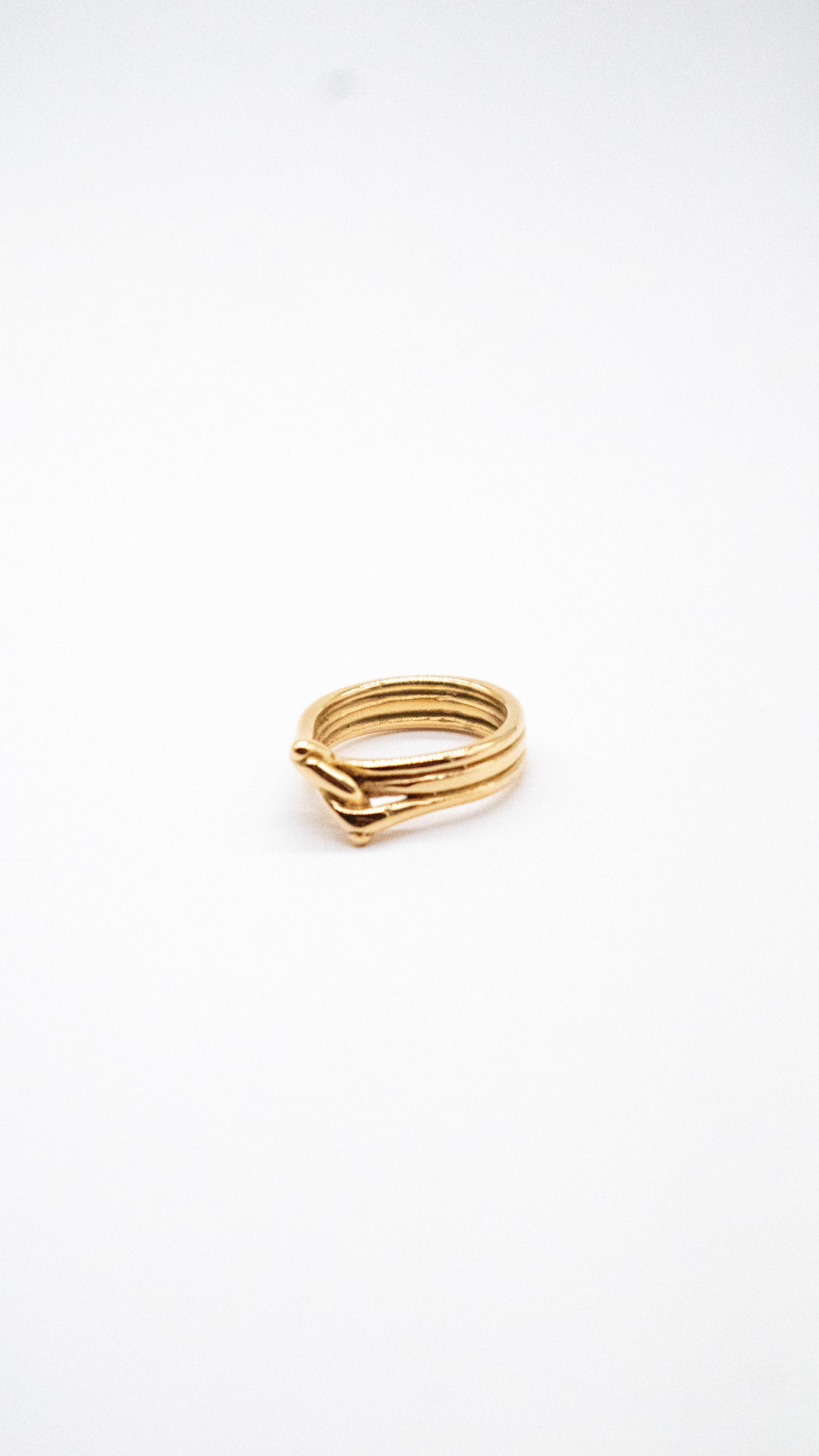 Anillo lazo