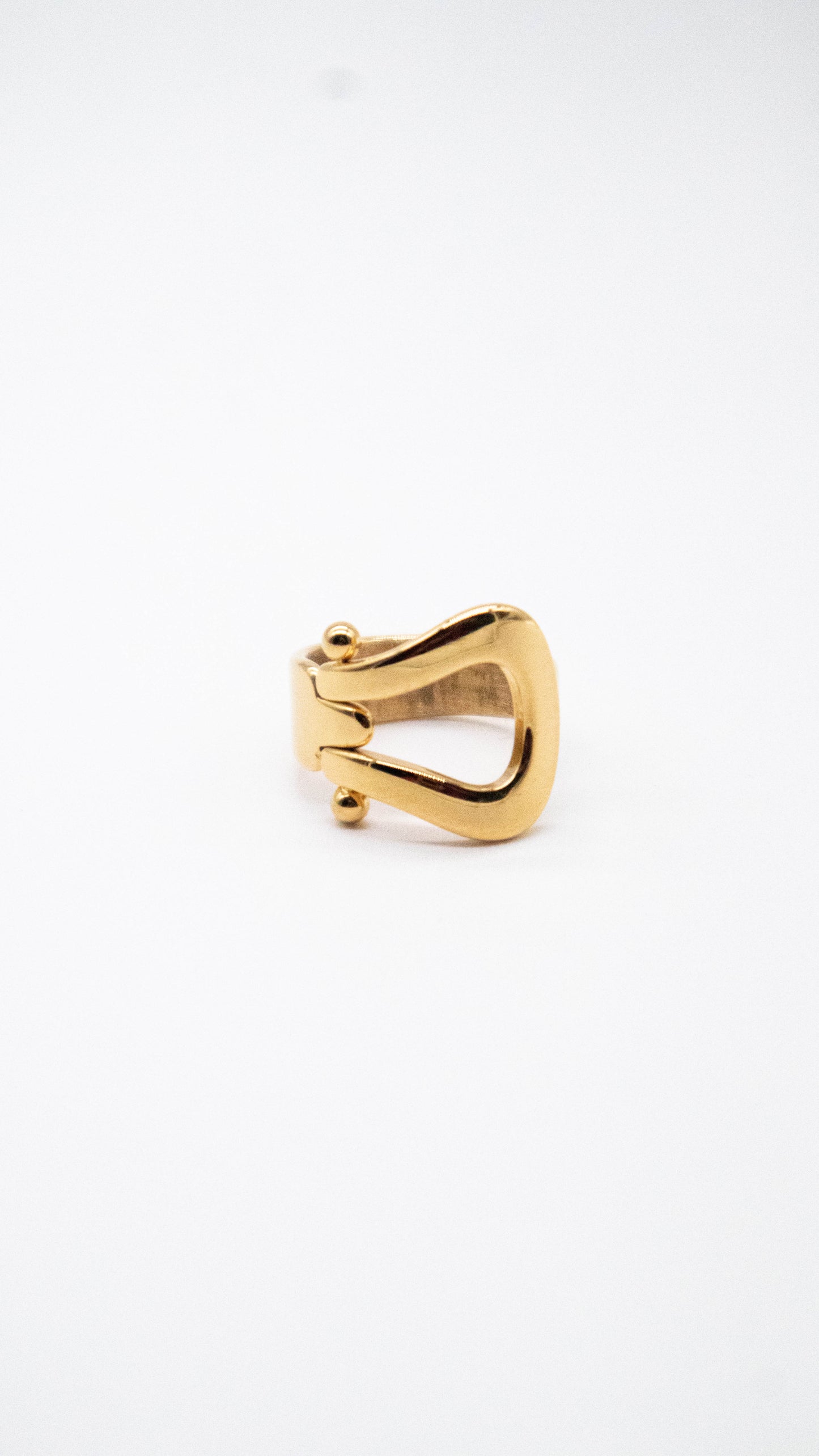 Anillo hebilla